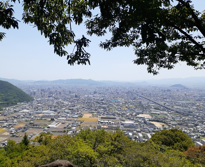 展望台からの眺め