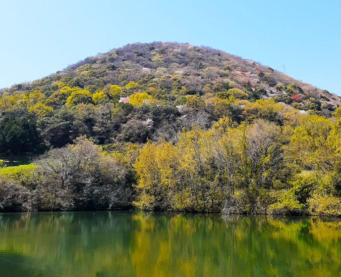 浄願寺山