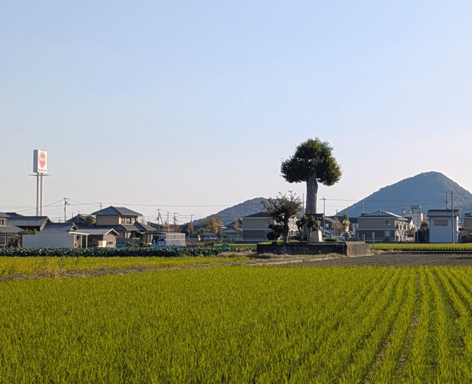 大野南城