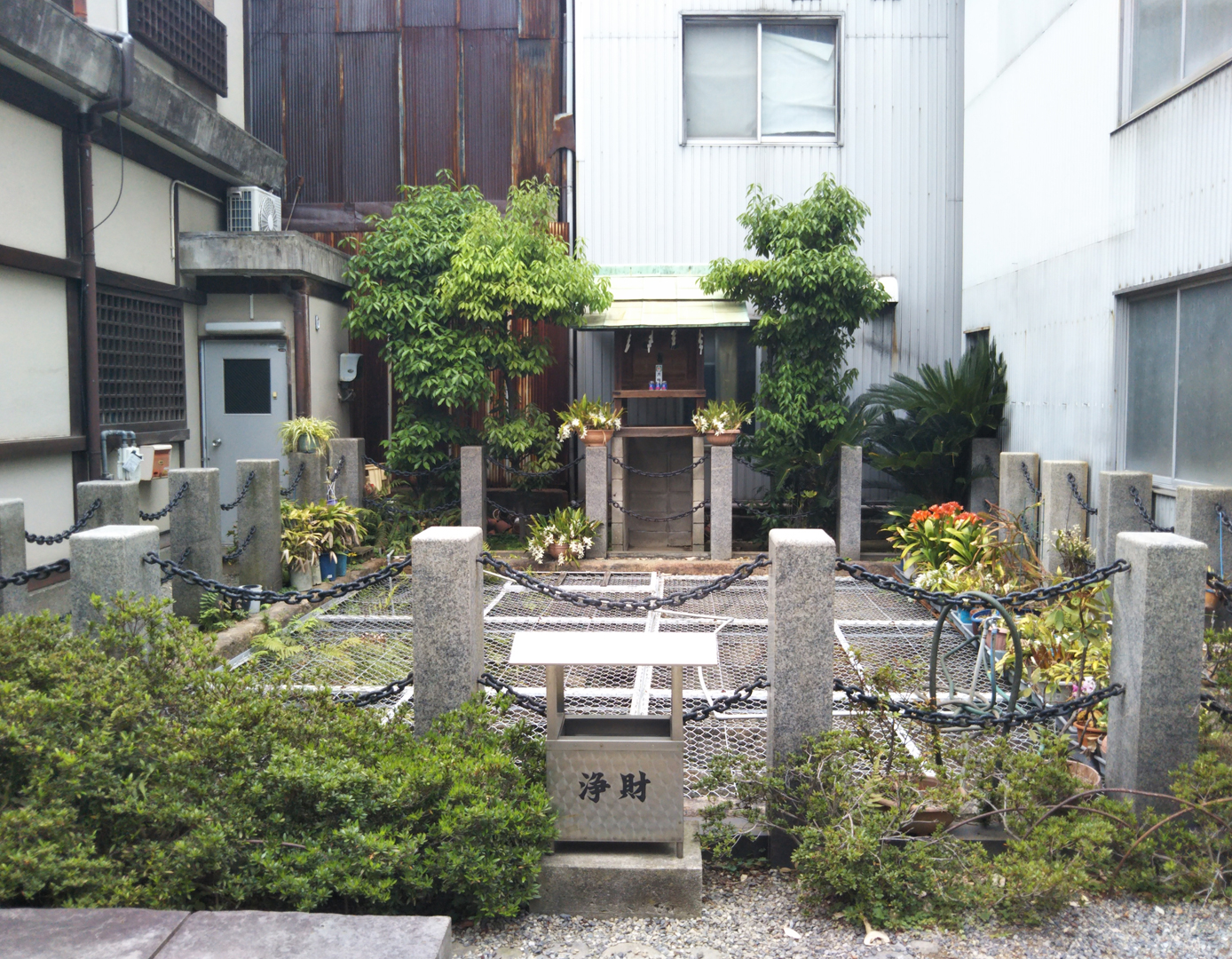 過去を歩き、今を知り、未来につなぐ