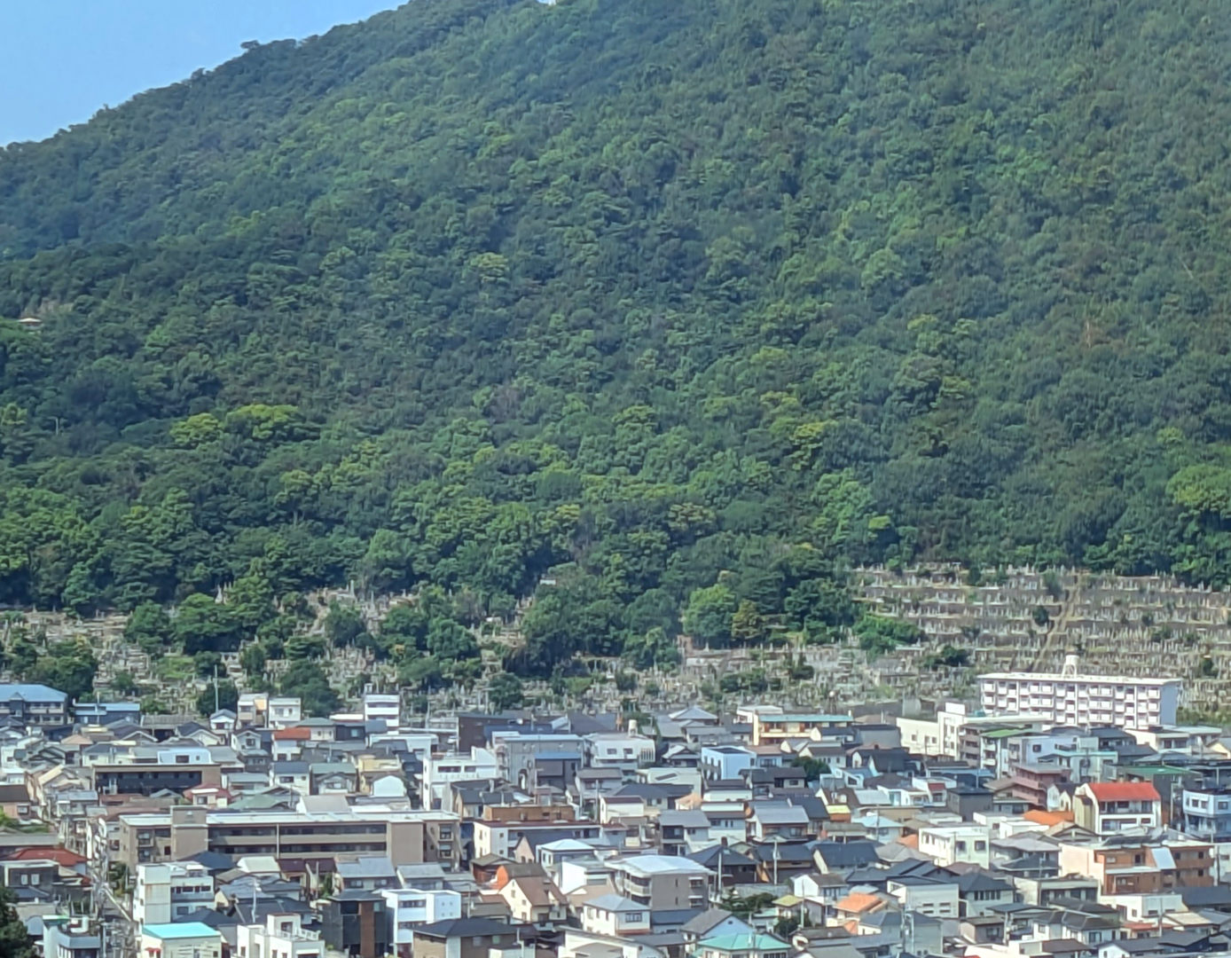 お墓は歴史のタイムカプセルだった!