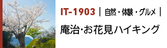 IT-1903｜自然・体験・グルメ｜庵治・お花見ハイキング