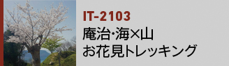 IT-2103|庵治・海×山 お花見トレッキング